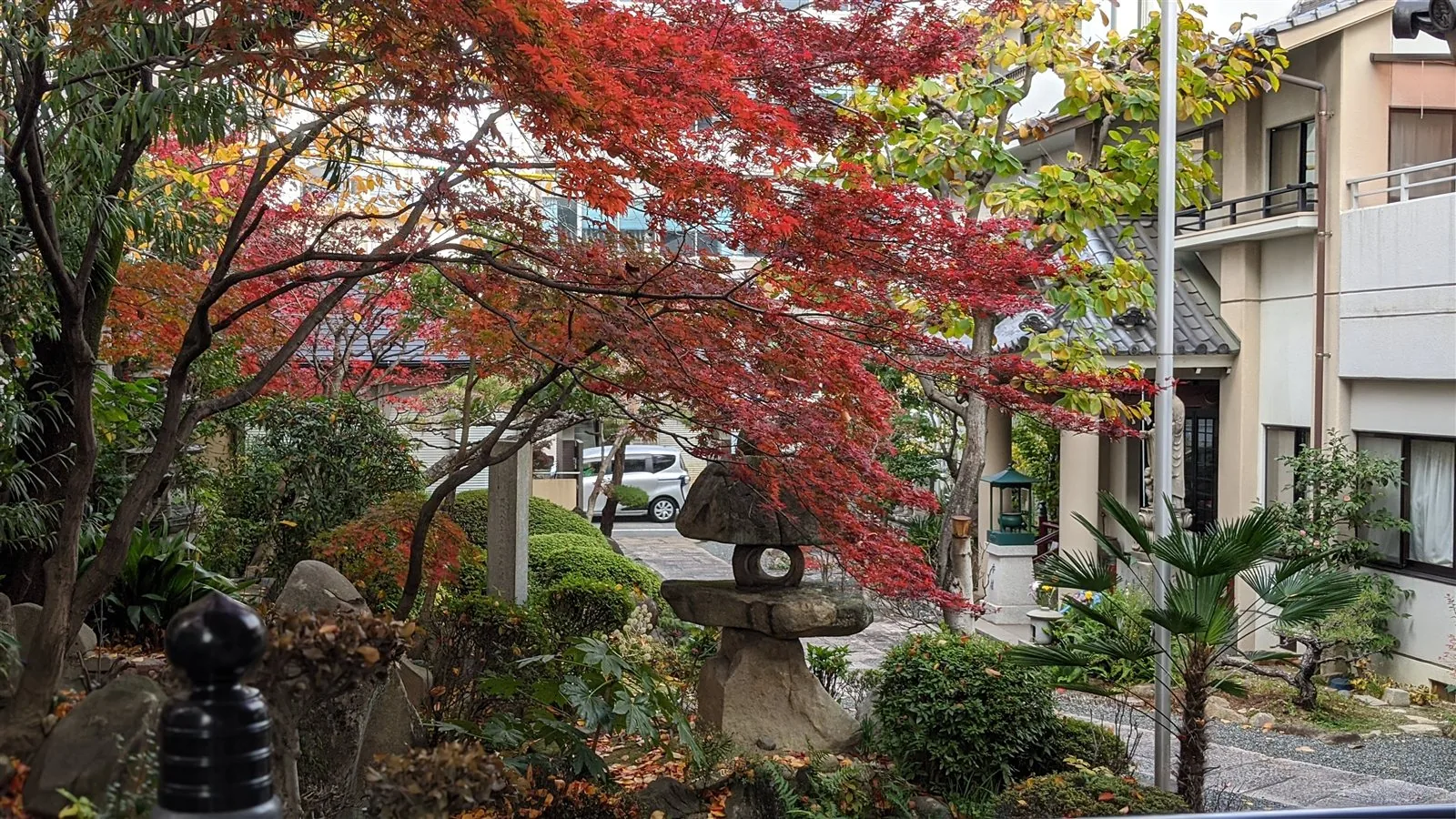紅葉