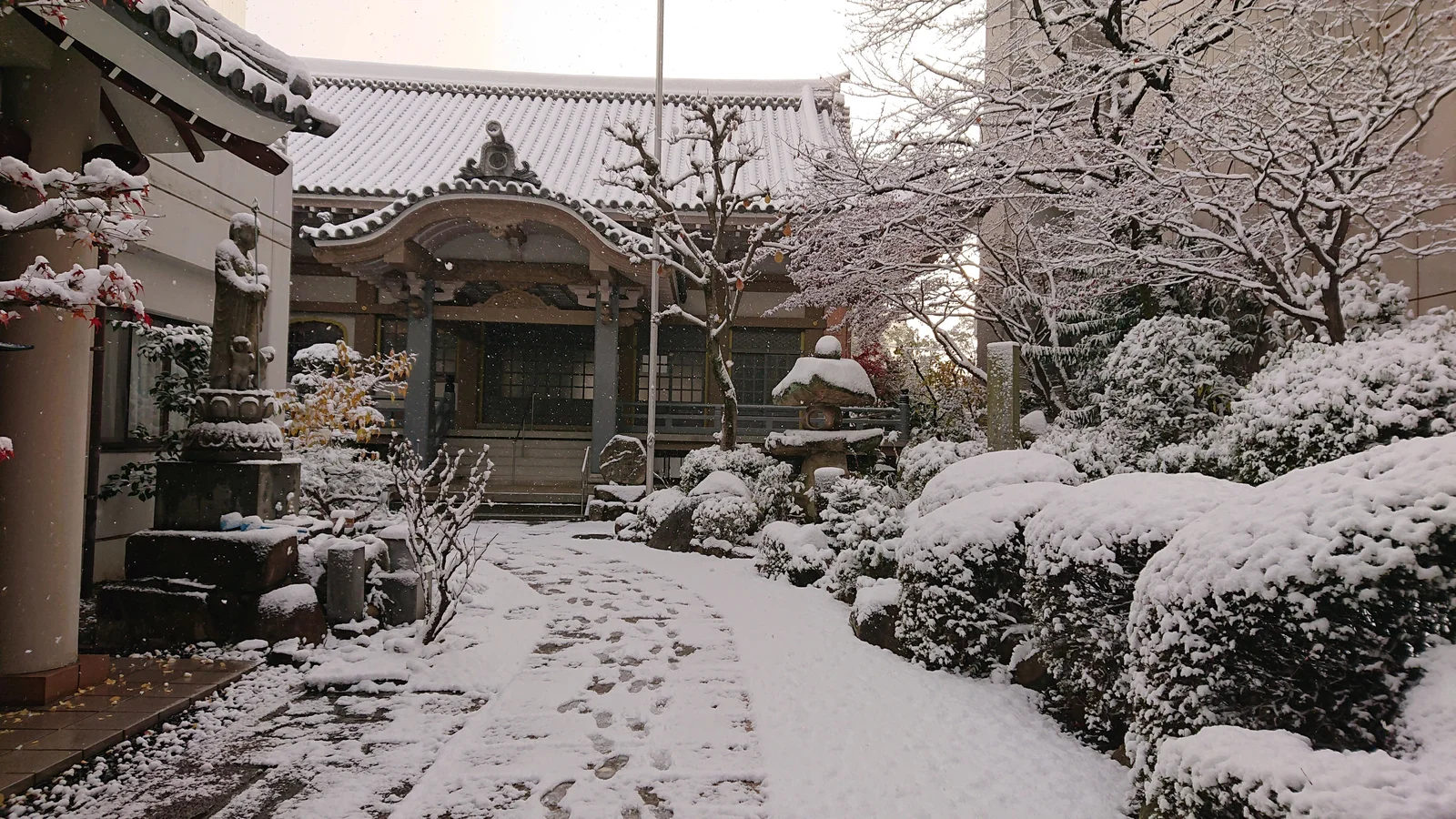 雪景色の庭園